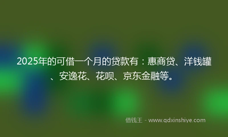 2025年的可借一个月的贷款有：惠商贷、洋钱罐、安逸花、花呗、京东金融等。