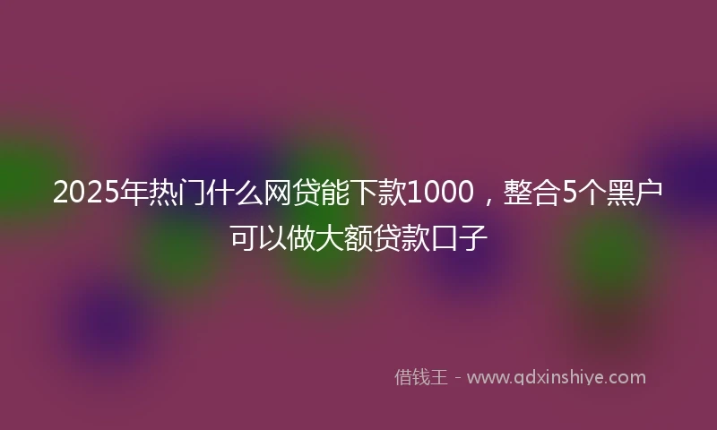 2025年热门什么网贷能下款1000，整合5个黑户可以做大额贷款口子