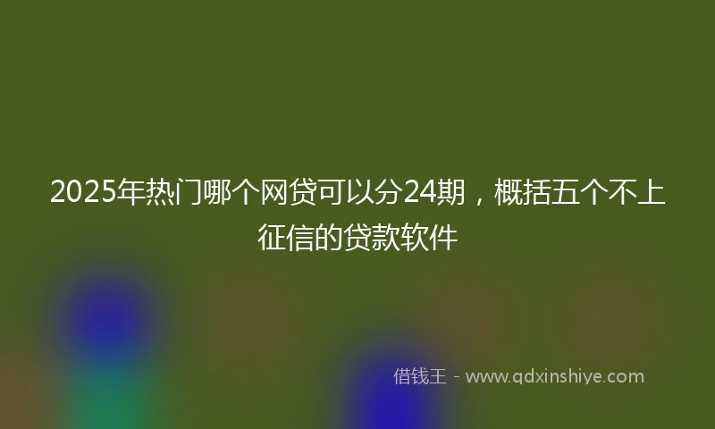 2025年热门哪个网贷可以分24期，概括五个不上征信的贷款软件