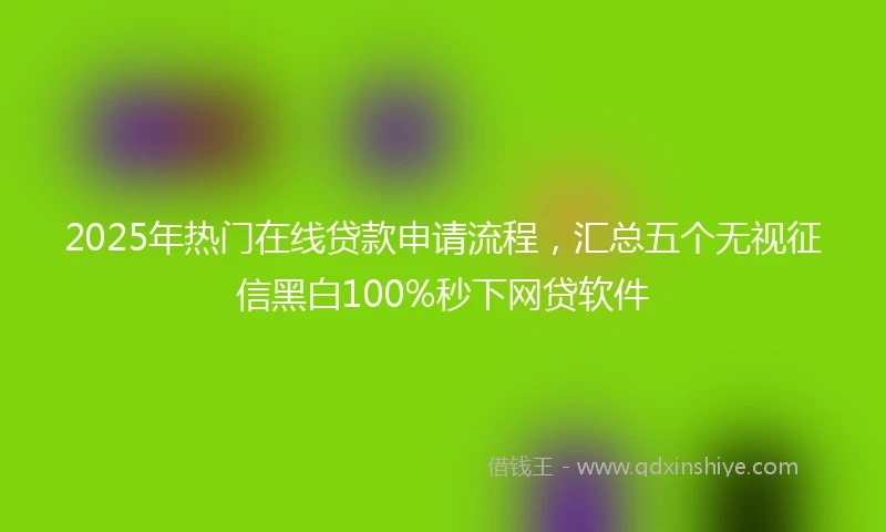 2025年热门在线贷款申请流程，汇总五个无视征信黑白100%秒下网贷软件