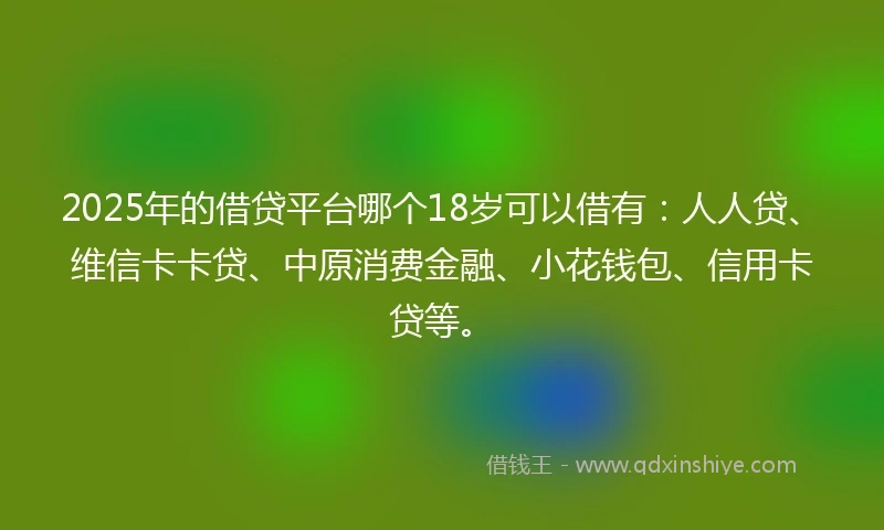 2025年的借贷平台哪个18岁可以借有：人人贷、维信卡卡贷、中原消费金融、小花钱包、信用卡贷等。