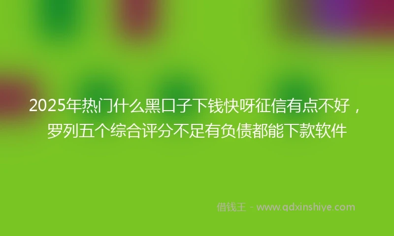 2025年热门什么黑口子下钱快呀征信有点不好，罗列五个综合评分不足有负债都能下款软件