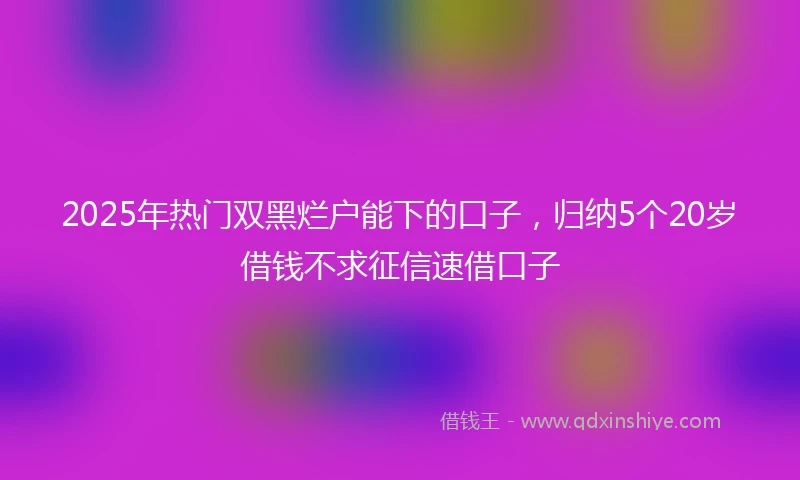 2025年热门双黑烂户能下的口子，归纳5个20岁借钱不求征信速借口子