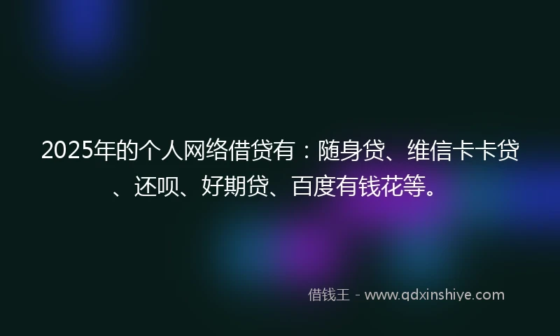 2025年的个人网络借贷有:随身贷、维信卡卡贷、还呗、好期贷、百度有钱花等。