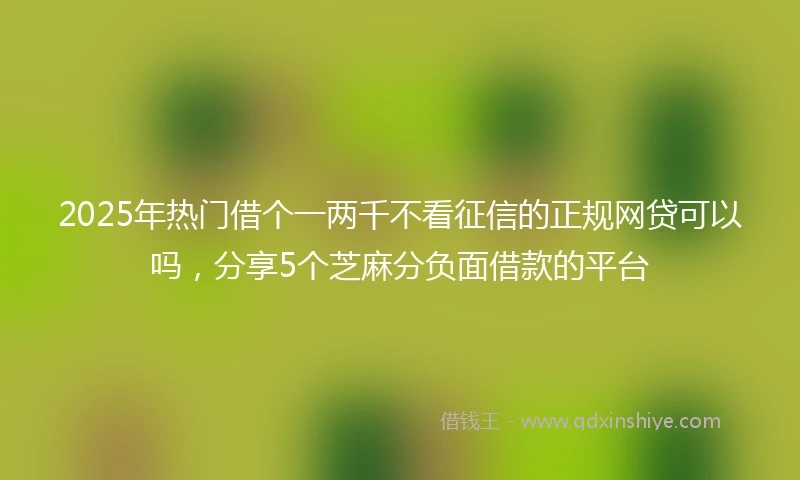 2025年热门借个一两千不看征信的正规网贷可以吗，分享5个芝麻分负面借款的平台