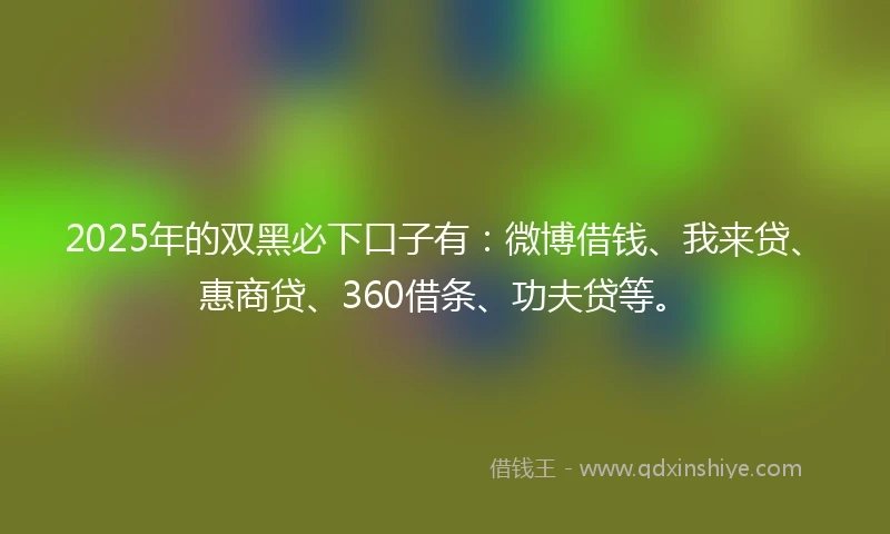2025年的双黑必下口子有：微博借钱、我来贷、惠商贷、360借条、功夫贷等。