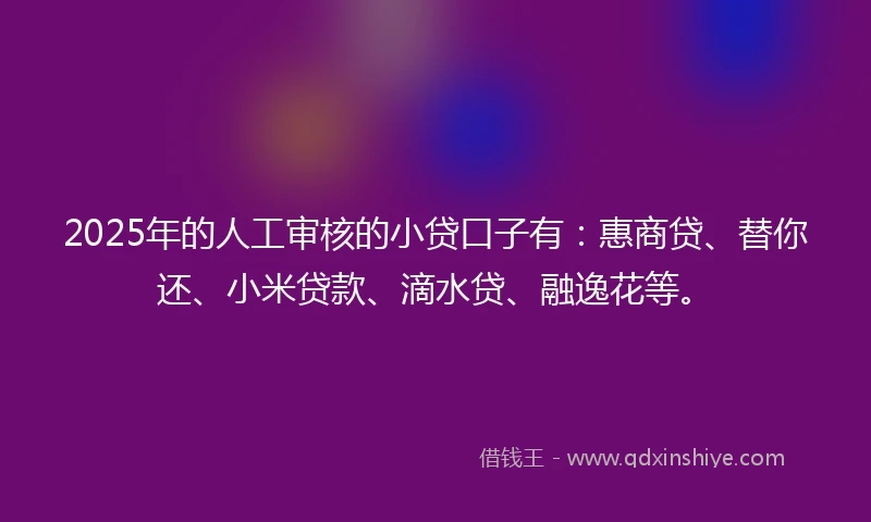 2025年的人工审核的小贷口子有：惠商贷、替你还、小米贷款、滴水贷、融逸花等。