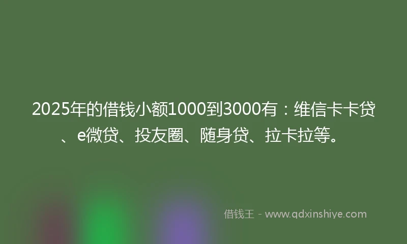 2025年的借钱小额1000到3000有：维信卡卡贷、e微贷、投友圈、随身贷、拉卡拉等。