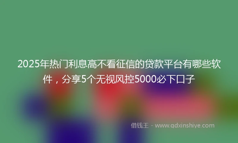 2025年热门利息高不看征信的贷款平台有哪些软件，分享5个无视风控5000必下口子