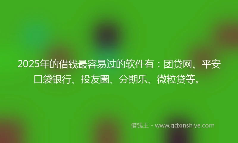 2025年的借钱最容易过的软件有：团贷网、平安口袋银行、投友圈、分期乐、微粒贷等。