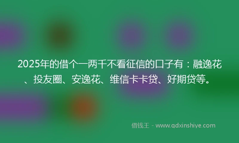 2025年的借个一两千不看征信的口子有：融逸花、投友圈、安逸花、维信卡卡贷、好期贷等。