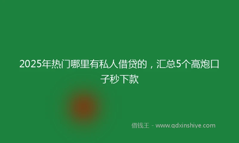 2025年热门哪里有私人借贷的，汇总5个高炮口子秒下款