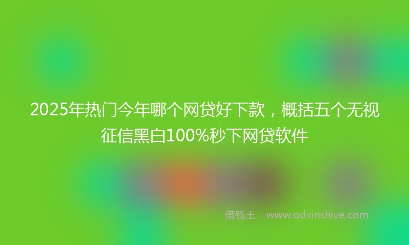 2025年热门今年哪个网贷好下款，概括五个无视征信黑白100%秒下网贷软件