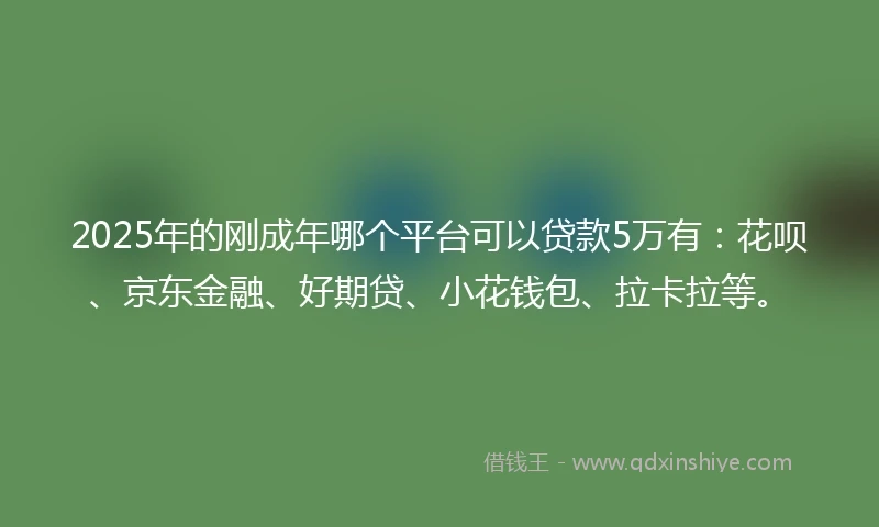 2025年的刚成年哪个平台可以贷款5万有：花呗、京东金融、好期贷、小花钱包、拉卡拉等。