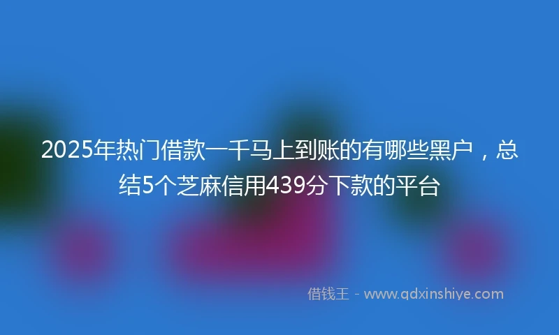 2025年热门借款一千马上到账的有哪些黑户，总结5个芝麻信用439分下款的平台