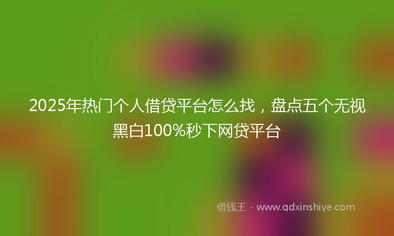2025年热门个人借贷平台怎么找，盘点五个无视黑白100%秒下网贷平台