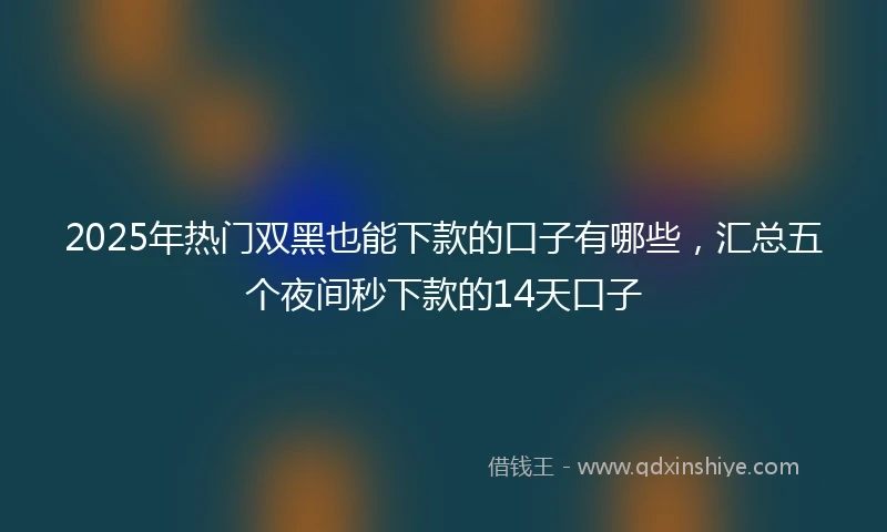 2025年热门双黑也能下款的口子有哪些，汇总五个夜间秒下款的14天口子