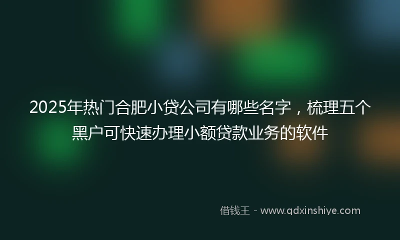 2025年热门合肥小贷公司有哪些名字，梳理五个黑户可快速办理小额贷款业务的软件