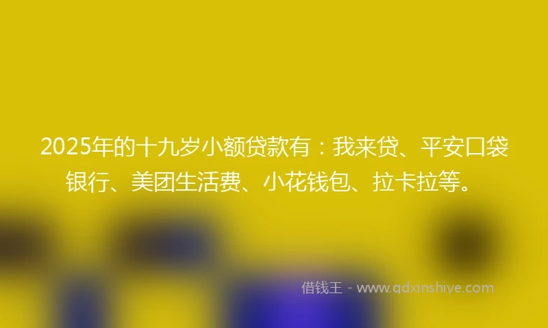 2025年的十九岁小额贷款有：我来贷、平安口袋银行、美团生活费、小花钱包、拉卡拉等。