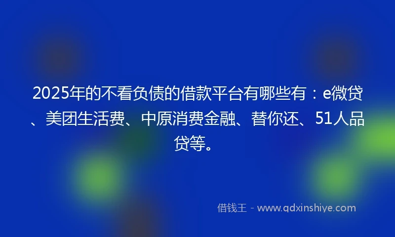 2025年的不看负债的借款平台有哪些有：e微贷、美团生活费、中原消费金融、替你还、51人品贷等。