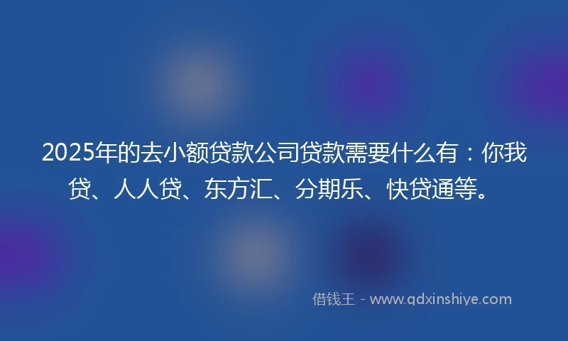2025年的去小额贷款公司贷款需要什么有：你我贷、人人贷、东方汇、分期乐、快贷通等。