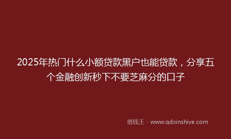 2025年热门什么小额贷款黑户也能贷款，分享五个金融创新秒下不要芝麻分的口子