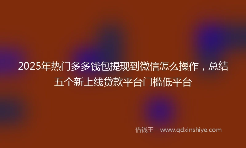 2025年热门多多钱包提现到微信怎么操作，总结五个新上线贷款平台门槛低平台