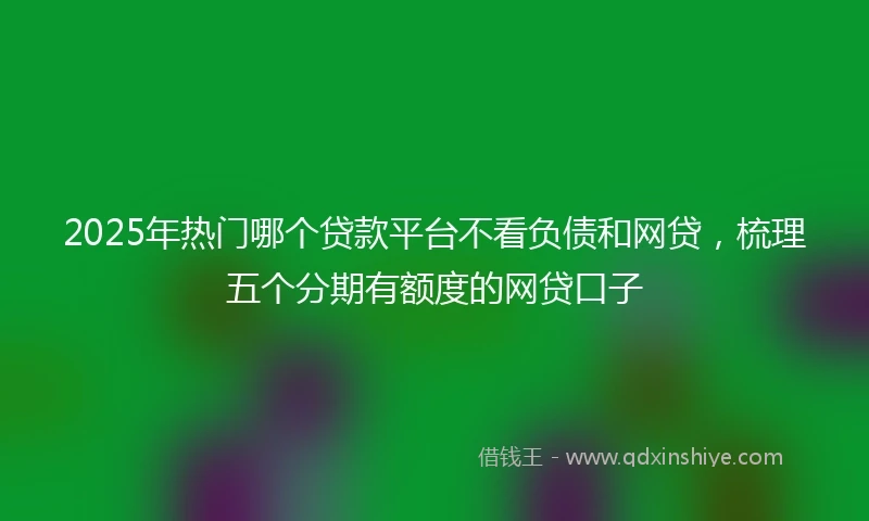 2025年热门哪个贷款平台不看负债和网贷，梳理五个分期有额度的网贷口子