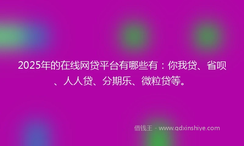 2025年的在线网贷平台有哪些有：你我贷、省呗、人人贷、分期乐、微粒贷等。