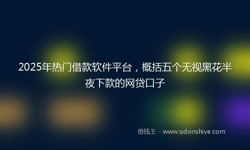 2025年热门借款软件平台,概括五个无视黑花半夜下款的网贷口子