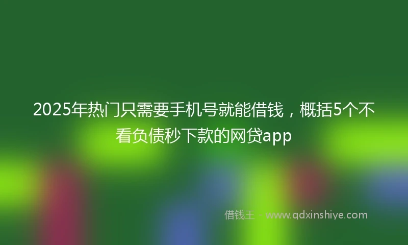 2025年热门只需要手机号就能借钱，概括5个不看负债秒下款的网贷app