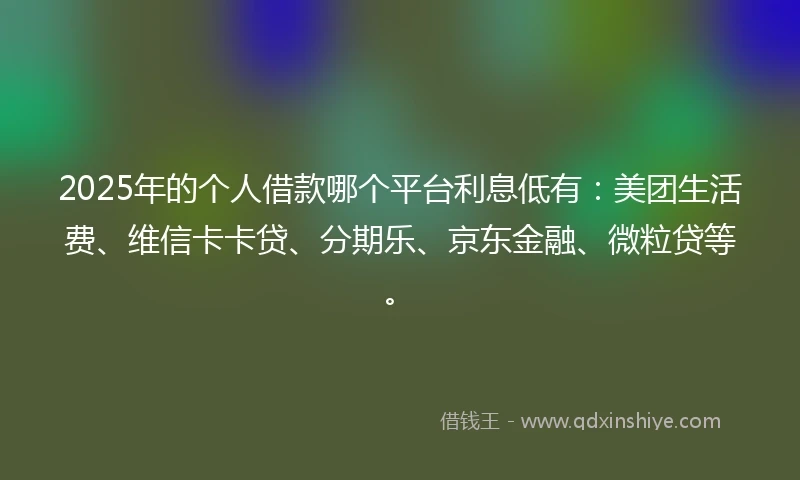 2025年的个人借款哪个平台利息低有：美团生活费、维信卡卡贷、分期乐、京东金融、微粒贷等。
