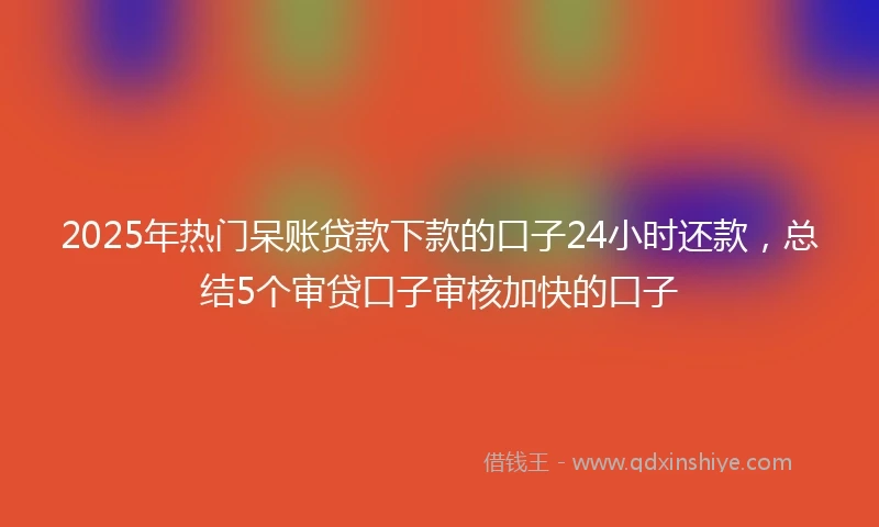 2025年热门呆账贷款下款的口子24小时还款，总结5个审贷口子审核加快的口子