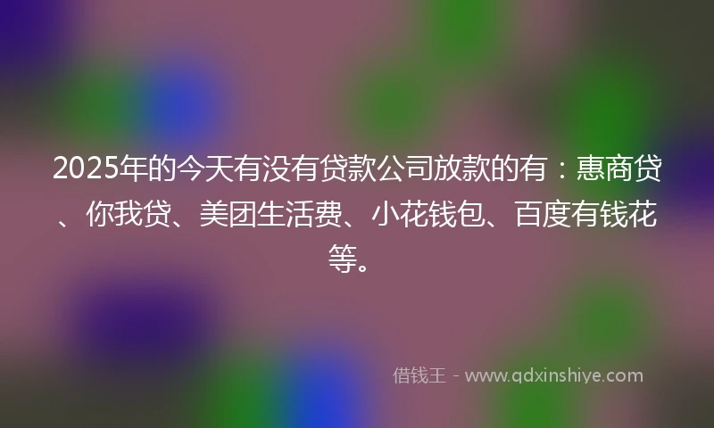 2025年的今天有没有贷款公司放款的有：惠商贷、你我贷、美团生活费、小花钱包、百度有钱花等。