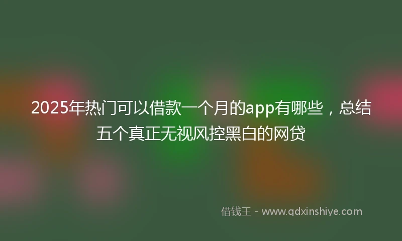 2025年热门可以借款一个月的app有哪些，总结五个真正无视风控黑白的网贷