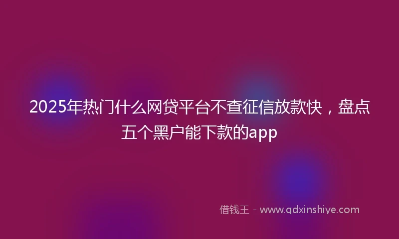 2025年热门什么网贷平台不查征信放款快，盘点五个黑户能下款的app