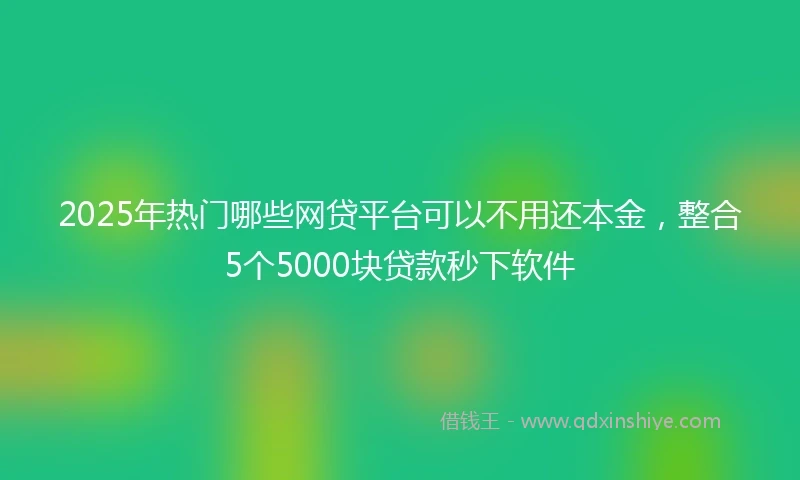 2025年热门哪些网贷平台可以不用还本金，整合5个5000块贷款秒下软件