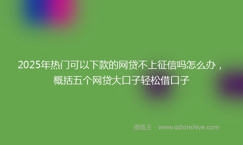 2025年热门可以下款的网贷不上征信吗怎么办，概括五个网贷大口子轻松借口子