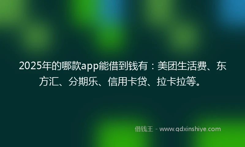 2025年的哪款app能借到钱有:美团生活费、东方汇、分期乐、信用卡贷、拉卡拉等。