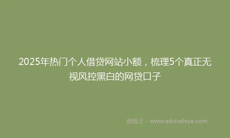 2025年热门个人借贷网站小额，梳理5个真正无视风控黑白的网贷口子