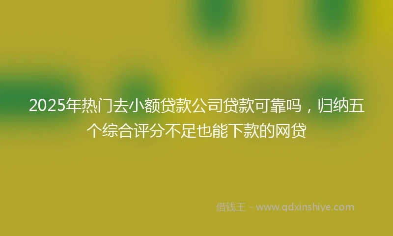 2025年热门去小额贷款公司贷款可靠吗，归纳五个综合评分不足也能下款的网贷