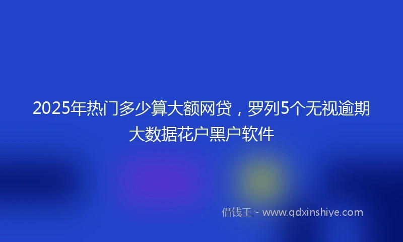 2025年热门多少算大额网贷，罗列5个无视逾期大数据花户黑户软件