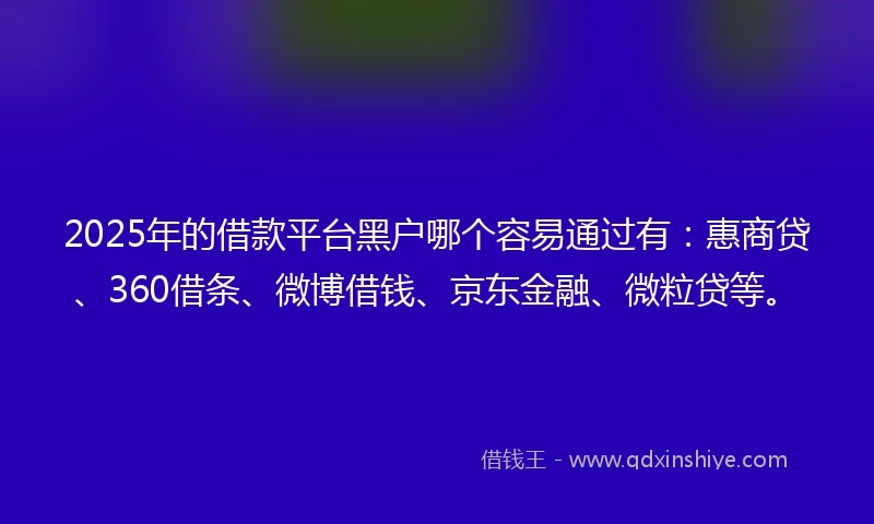 2025年的借款平台黑户哪个容易通过有：惠商贷、360借条、微博借钱、京东金融、微粒贷等。