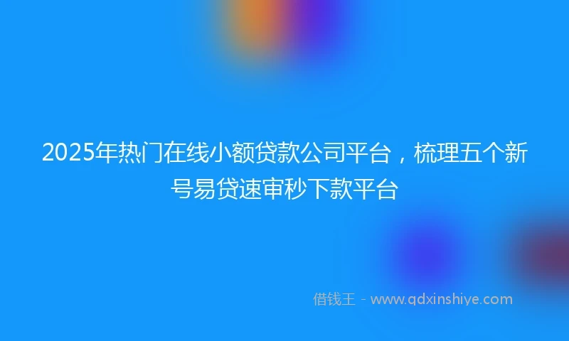 2025年热门在线小额贷款公司平台，梳理五个新号易贷速审秒下款平台