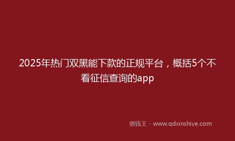 2025年热门双黑能下款的正规平台，概括5个不看征信查询的app