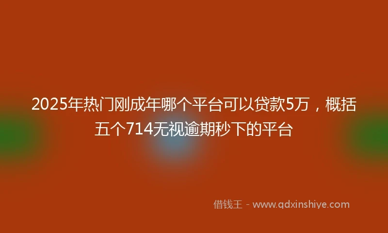 2025年热门刚成年哪个平台可以贷款5万,概括五个714无视逾期秒下的平台