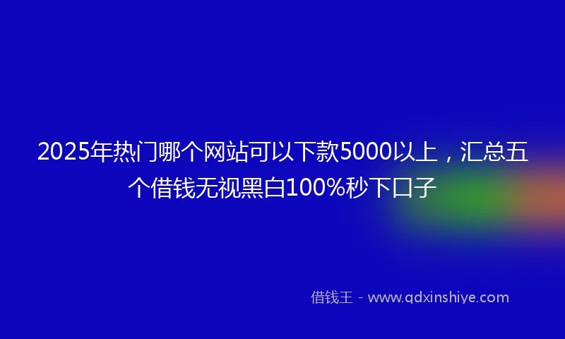 2025年热门哪个网站可以下款5000以上，汇总五个借钱无视黑白100%秒下口子