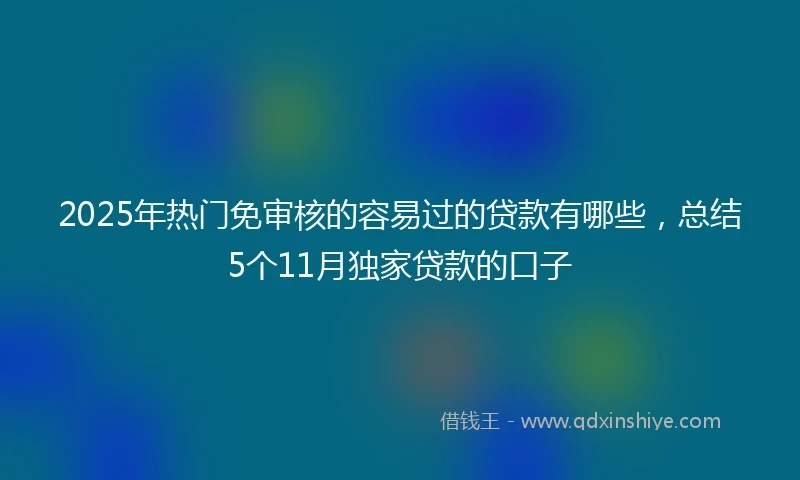 2025年热门免审核的容易过的贷款有哪些，总结5个11月独家贷款的口子