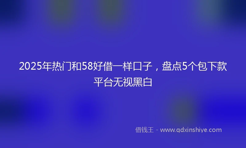 2025年热门和58好借一样口子，盘点5个包下款平台无视黑白