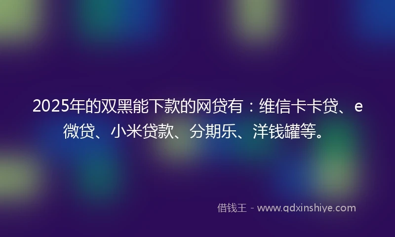 2025年的双黑能下款的网贷有：维信卡卡贷、e微贷、小米贷款、分期乐、洋钱罐等。